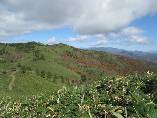 登山道